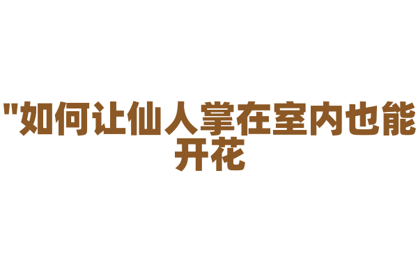 "如何让仙人掌在室内也能开花？"
